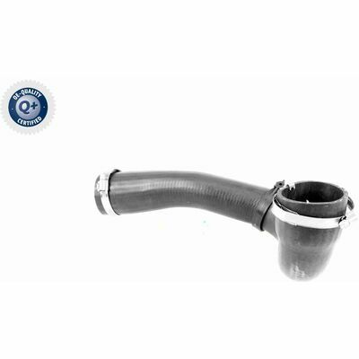 Q+,  Première Monte