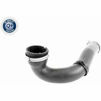 Q+,  Première Monte