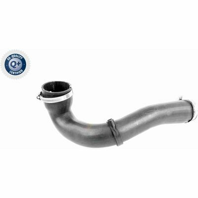 Q+,  Première Monte