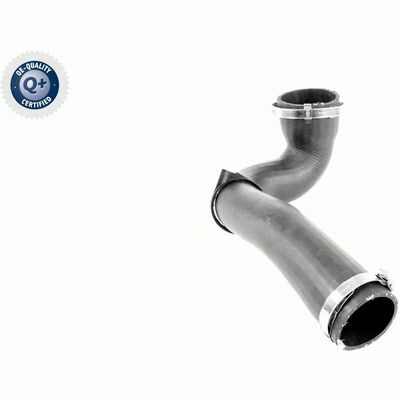 Q+,  Première Monte