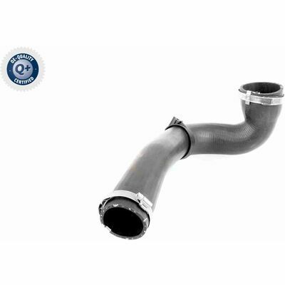 Q+,  Première Monte