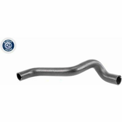 Q+,  Première Monte