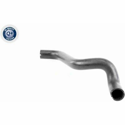 Q+,  Première Monte