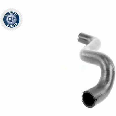 Q+,  Première Monte