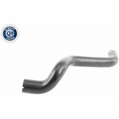 Q+,  Première Monte