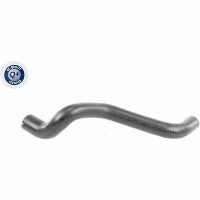 Q+,  Première Monte