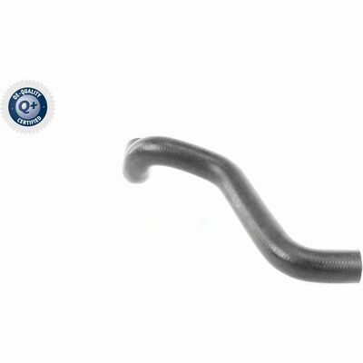 Q+,  Première Monte