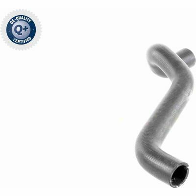 Q+,  Première Monte