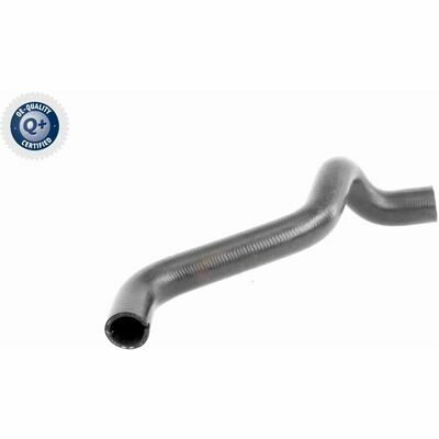 Q+,  Première Monte