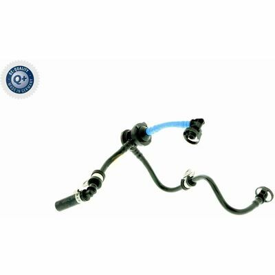 Q+,  Première Monte