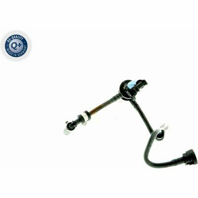 Q+,  Première Monte