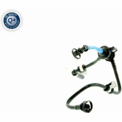 Q+,  Première Monte