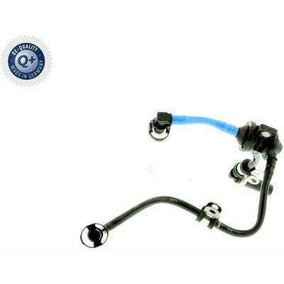 Q+,  Première Monte