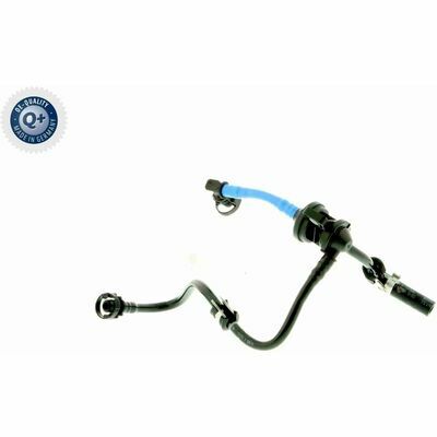 Q+,  Première Monte