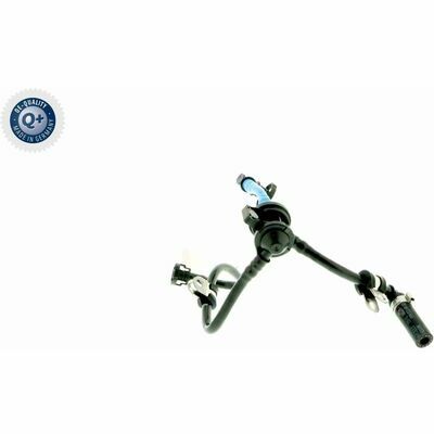 Q+,  Première Monte