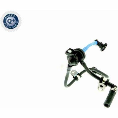 Q+,  Première Monte