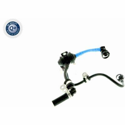 Q+,  Première Monte