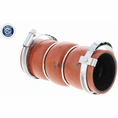 Qualità de VAICO originale