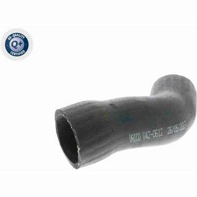 Q+, calidad de primer equipo