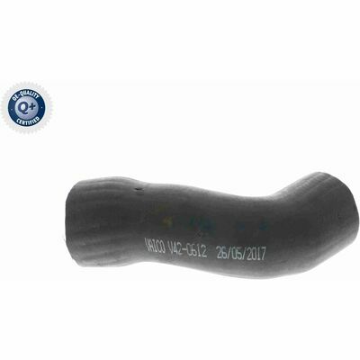 Q+, calidad de primer equipo