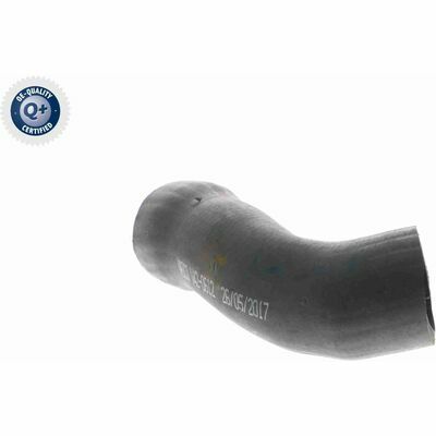 Q+, calidad de primer equipo