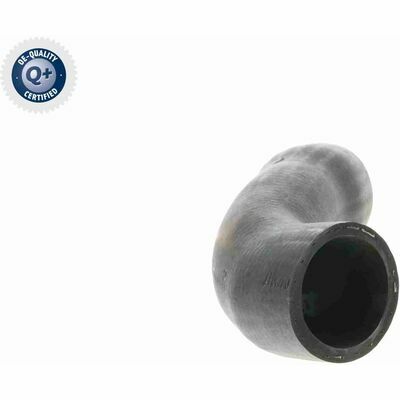 Q+, calidad de primer equipo