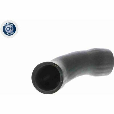 Q+, calidad de primer equipo