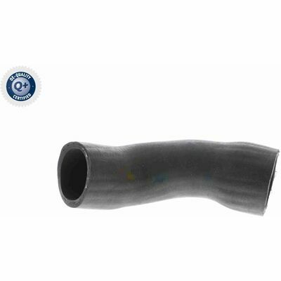 Q+, calidad de primer equipo