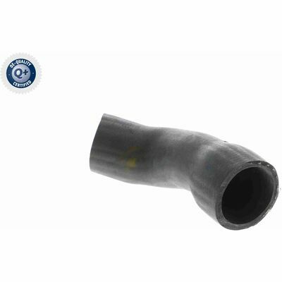 Q+, calidad de primer equipo