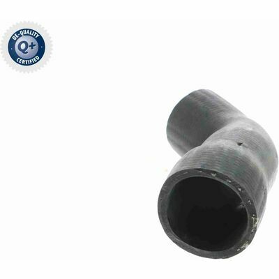 Q+, calidad de primer equipo