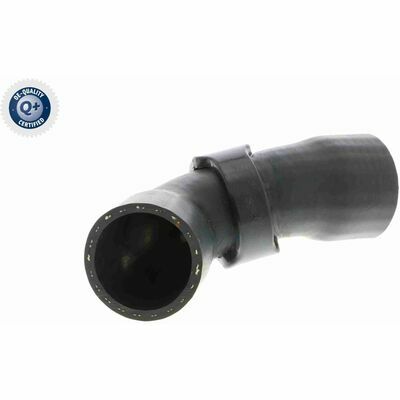 Q+, calidad de primer equipo