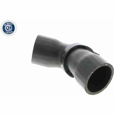 Q+, calidad de primer equipo