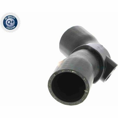 Q+, calidad de primer equipo