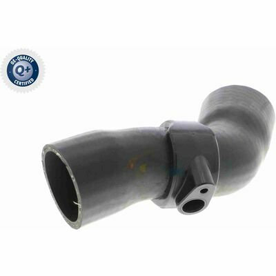 Q+, calidad de primer equipo