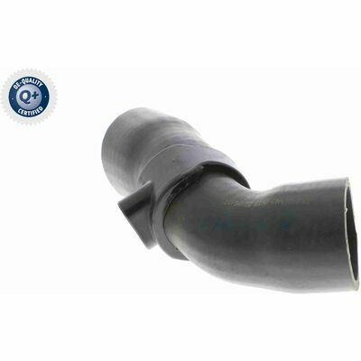 Q+, calidad de primer equipo