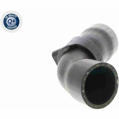 Q+, calidad de primer equipo