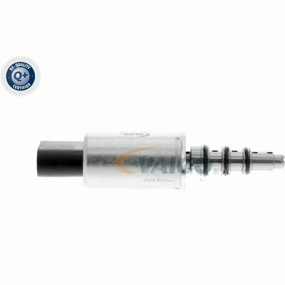 Q+, calidad de primer equipo