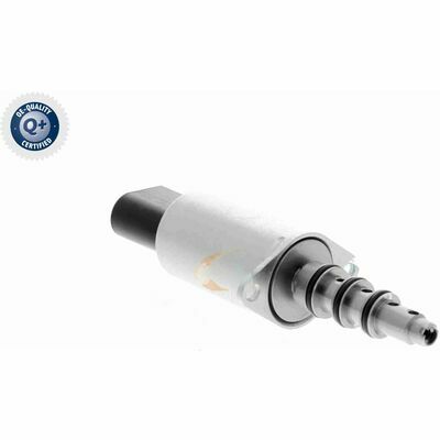 Q+, calidad de primer equipo