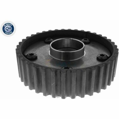 Q+,  Première Monte