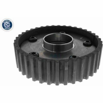 Q+,  Première Monte