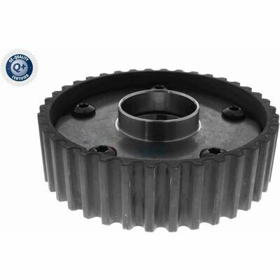 Q+,  Première Monte