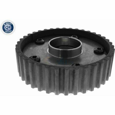 Q+,  Première Monte