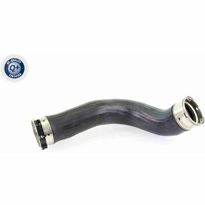 Q+,  Première Monte