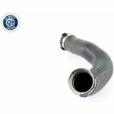 Q+,  Première Monte