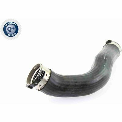 Q+,  Première Monte