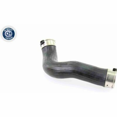 Q+,  Première Monte