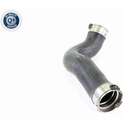 Q+,  Première Monte