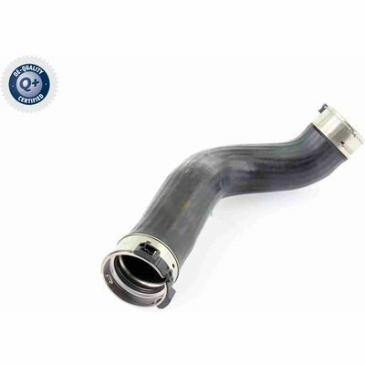 Q+,  Première Monte