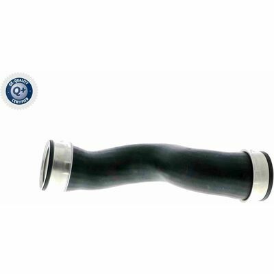 Q+,  Première Monte