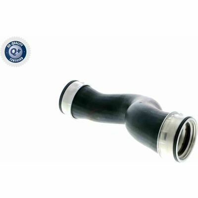 Q+,  Première Monte